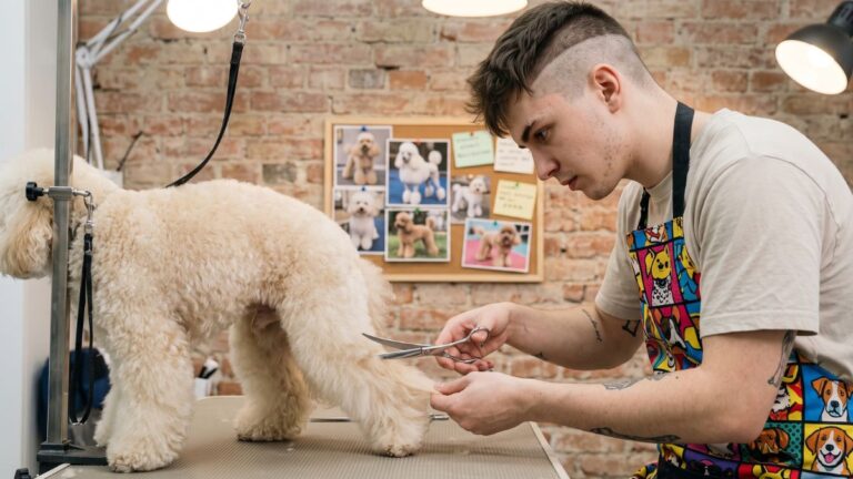 Asian Fusion Dog Grooming Style