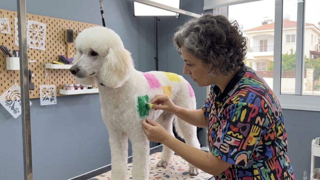 Colorful Dog Grooming