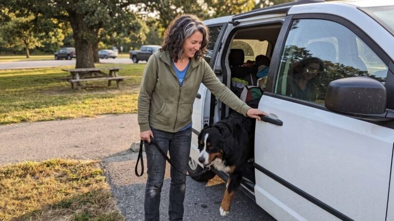 Large Dog Travel Safety Tips