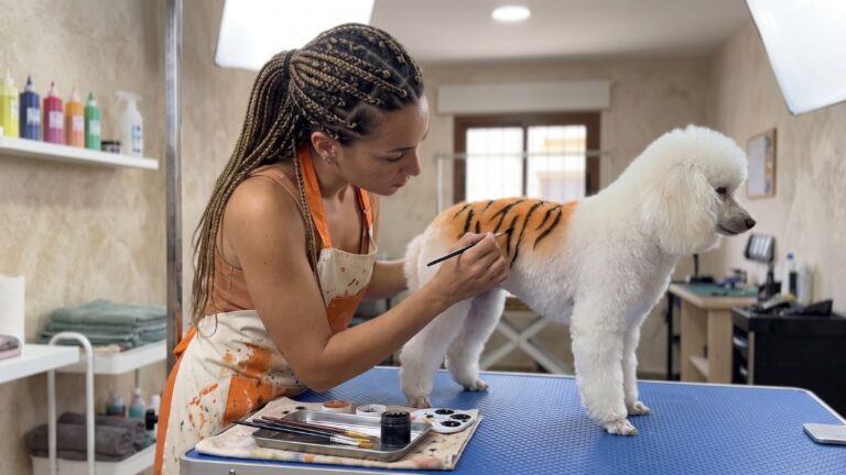 Tiger Pattern Dog Grooming
