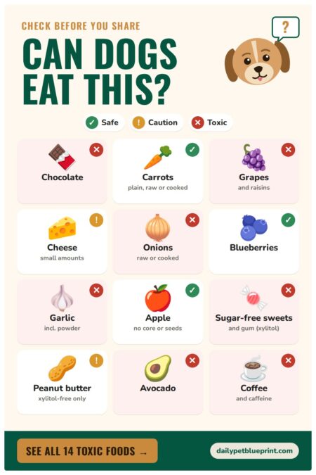 Can Dogs Eat This? chart showing 12 foods with safe, caution or toxic badges, including chocolate, grapes, onions, garlic, avocado and coffee marked toxic and carrots, blueberries and apple marked safe.